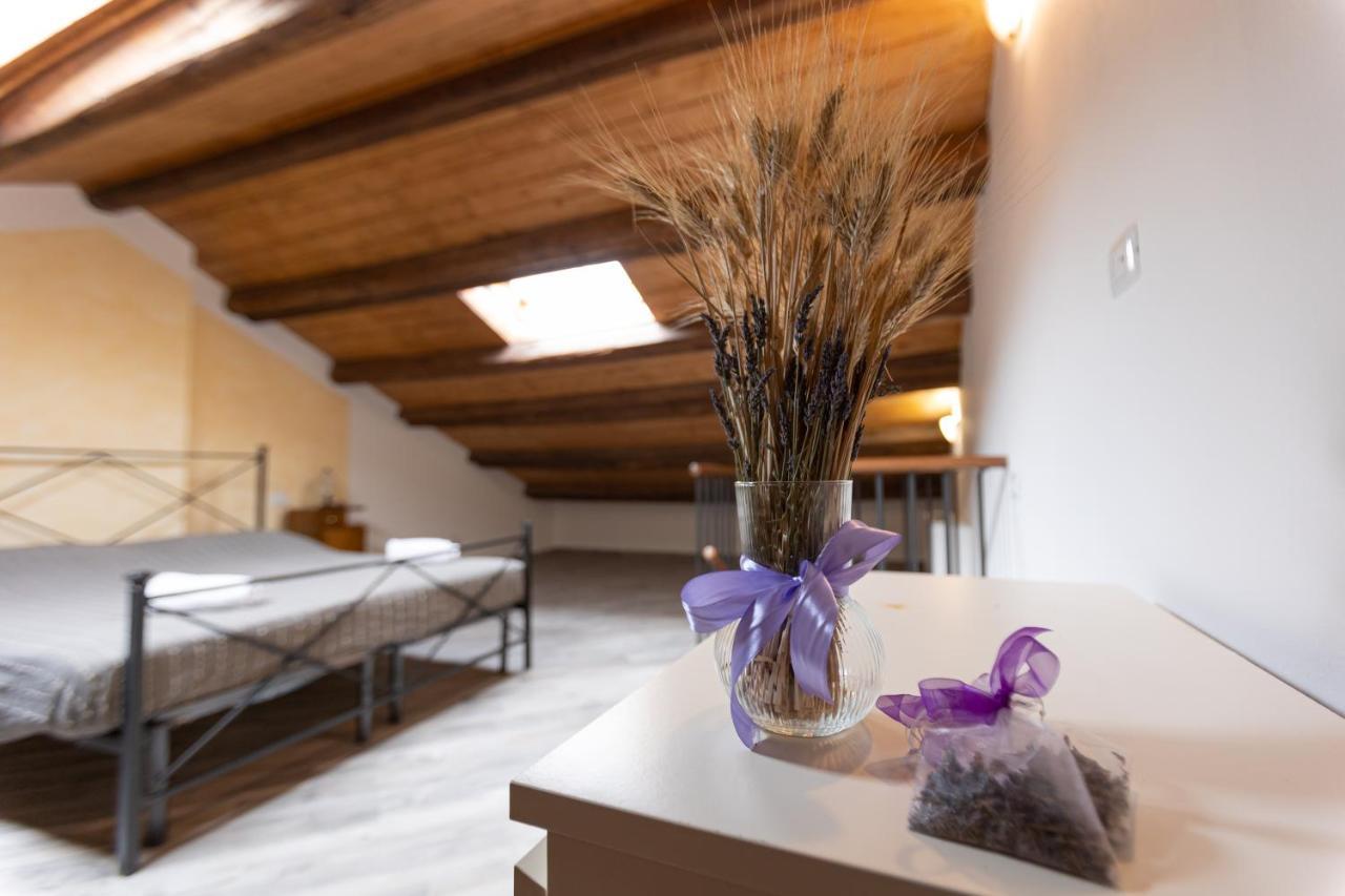 La Valle Della Lavanda - Podere Mezzastrada Fauglia