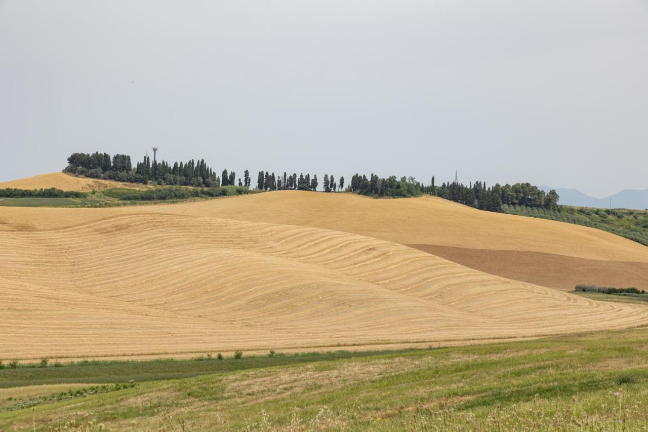 Farm stay La Valle Della Lavanda - Podere Mezzastrada *