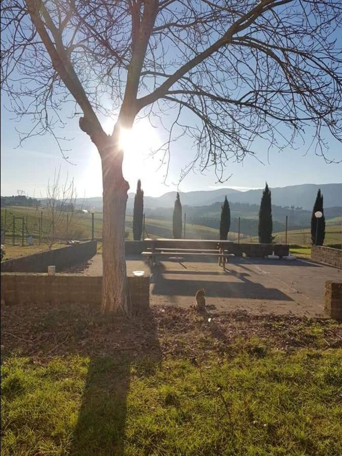 La Valle Della Lavanda - Podere Mezzastrada Farm stay