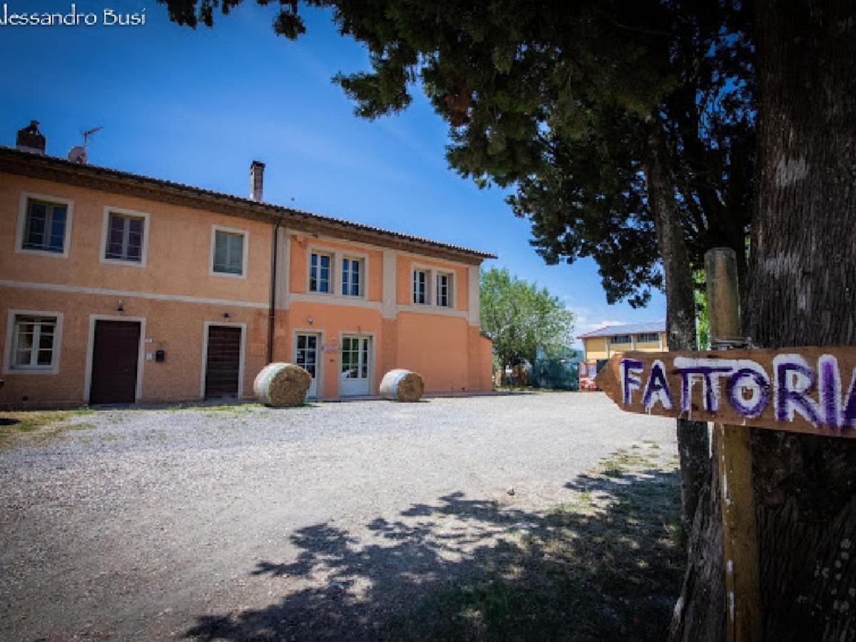 La Valle Della Lavanda - Podere Mezzastrada