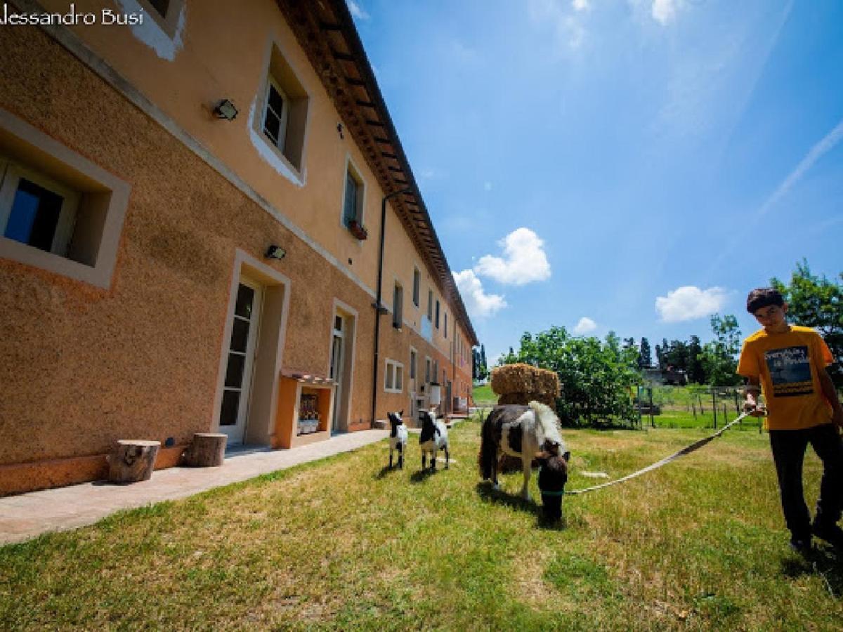 La Valle Della Lavanda - Podere Mezzastrada Alloggio per agriturismo *